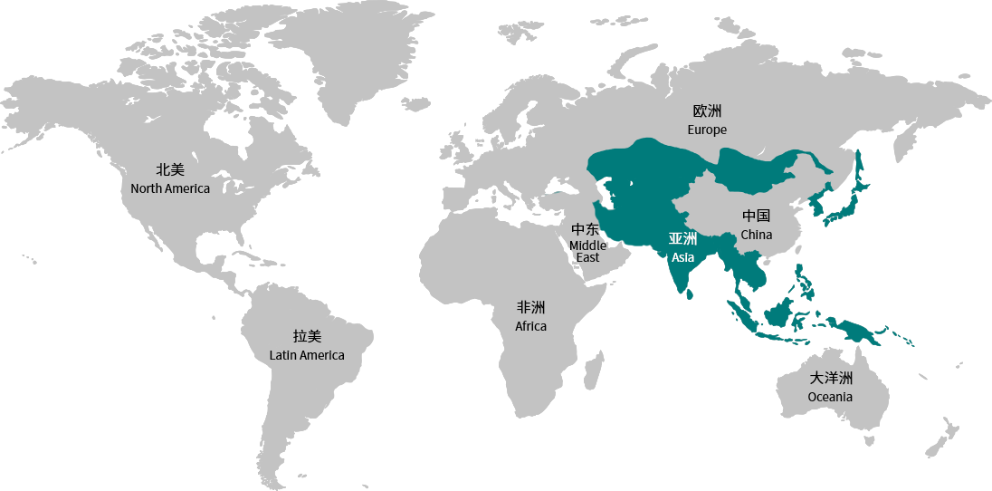 威斯尼斯wns888(中国)官方网站入口